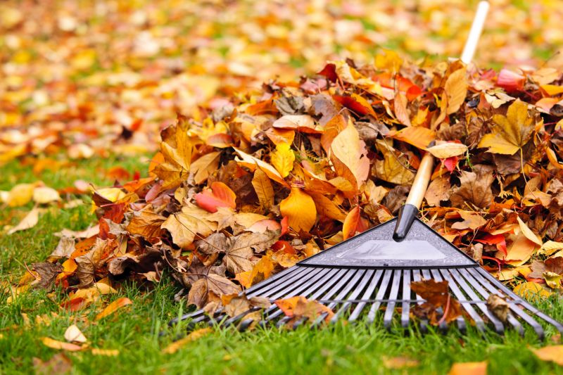 Lawn Health in Fall