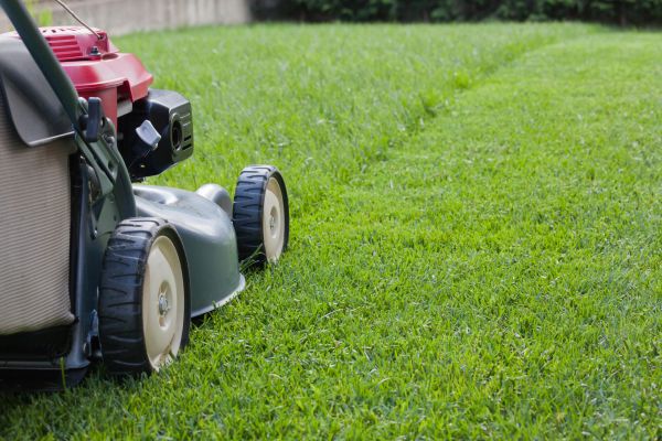 Cost of Lawn Care Service in Durham