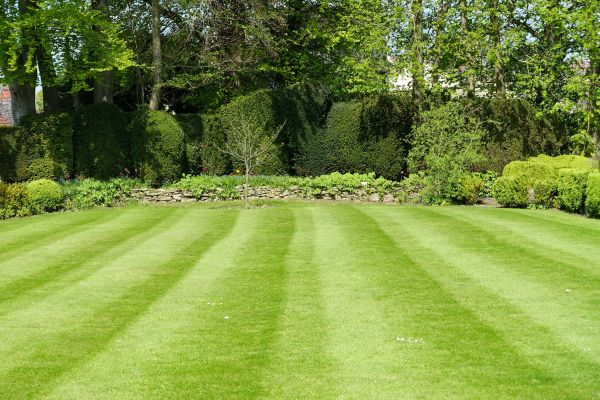 Cost of Grass Care Service in Durham