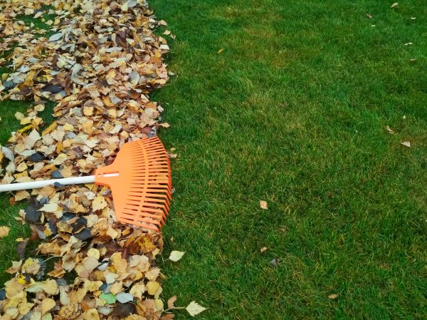Cost of Fall Lawn Care in Durham